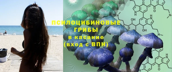 кокс Баксан