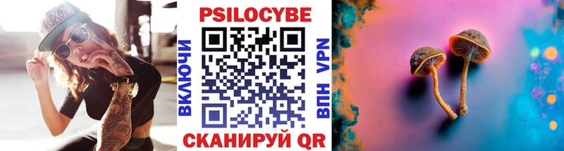 Псилоцибиновые грибы Psilocybine cubensis Губкинский